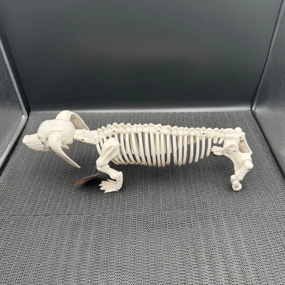 Hyde & EEK Halloween Dachshund Skeleton Dog Prop Indoor Outdoor Missing Tail